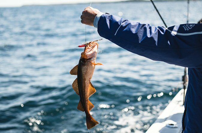 2 Hour Fishing Experience in Halifax - How the Experience is Rated