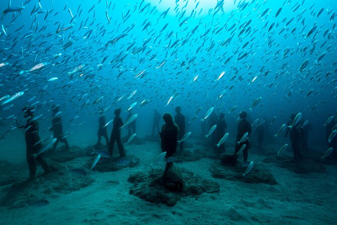 2-Hour Freediving Activity at the Atlantic Museum - Safety Considerations