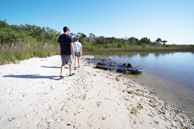2-Hour Glass Bottom Guided Eco Tour in Flagler County-Small-group - Customer Feedback