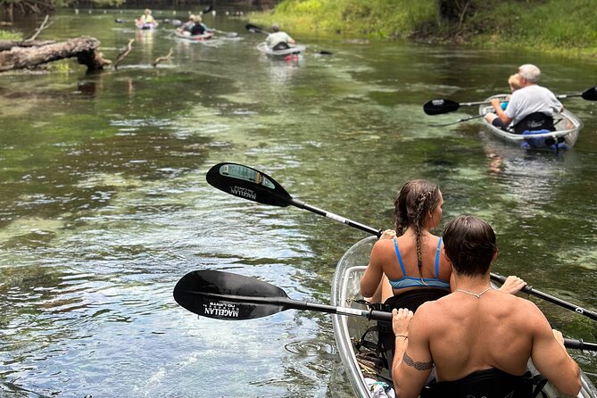 2 Hour Glass Bottom Guided Kayak Eco Tour in Gilchrist Blue - Inclusions
