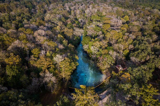 2 Hour Glass Bottom Guided Kayak Eco Tour in Gilchrist Blue - Meeting and Pickup