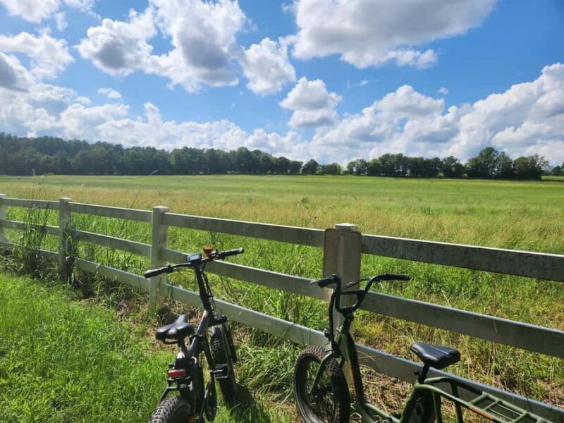 2 hour Guided E-bike Tour: Greenery, Scenery & Mindfulness - An Overview of the Experience