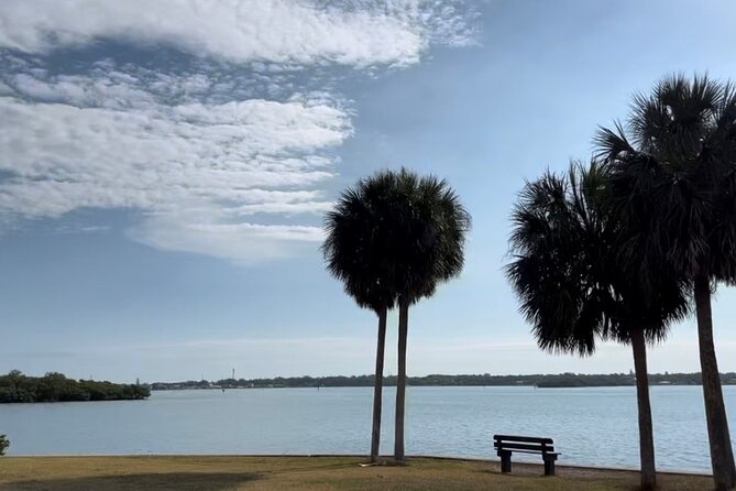2 Hour Guided Kayak Tour in Boca Ciega Bay - St. Pete - Key Points