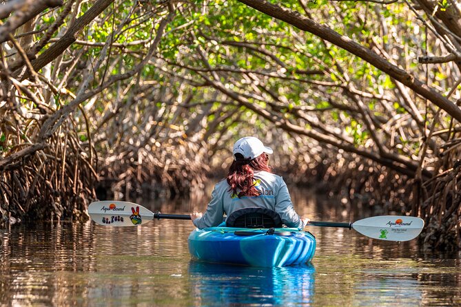 2 Hour Guided Kayak Tour in Boca Ciega Bay - St. Pete - Kayak and Gear Included
