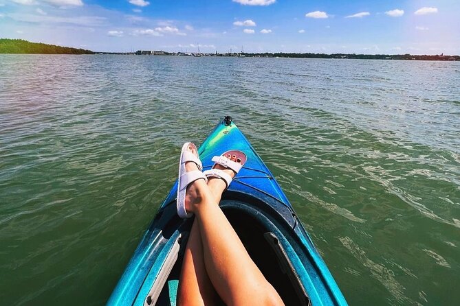 2 Hour Guided Kayak Tour in Boca Ciega Bay - St. Pete - Review Summary
