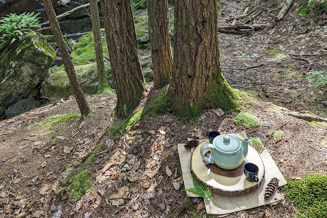 2-Hour Guided Private Forest Bathing Experience Lenox - Closing Tea Ceremony and Snack