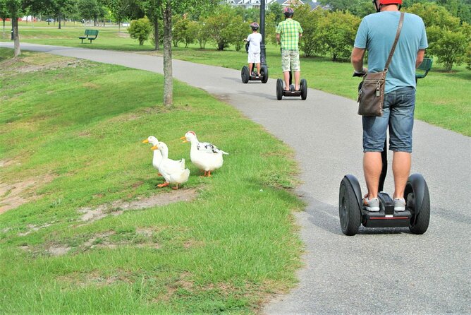 2-Hour Guided Segway Tour of Huntington Beach State Park in Myrtle Beach - Directions to Meeting Point