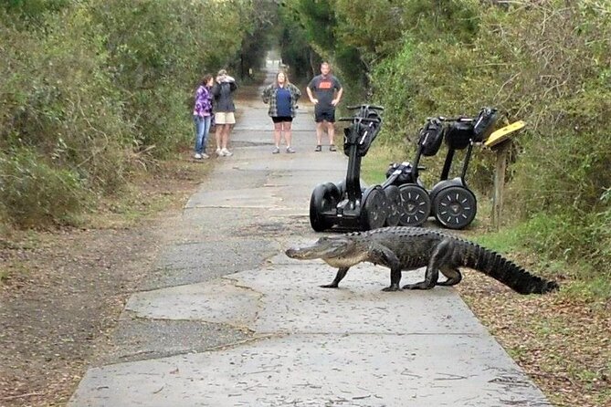 2-Hour Guided Segway Tour of Huntington Beach State Park in Myrtle Beach - Atalaya Castle Visit