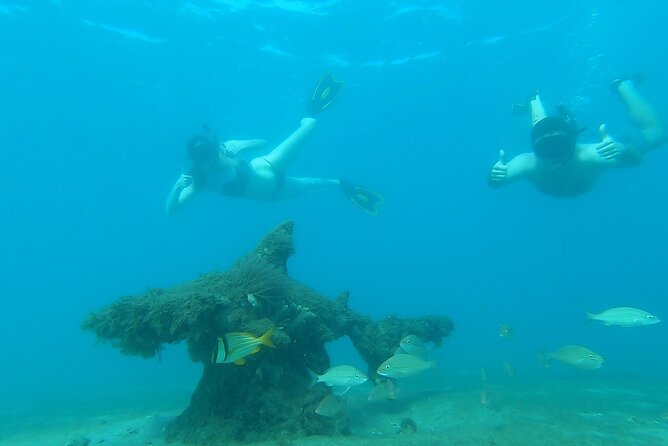 2-Hour Guided Snorkel Tour of Phil Foster Park, Blue Heron Bridge - Meeting and Pickup Location