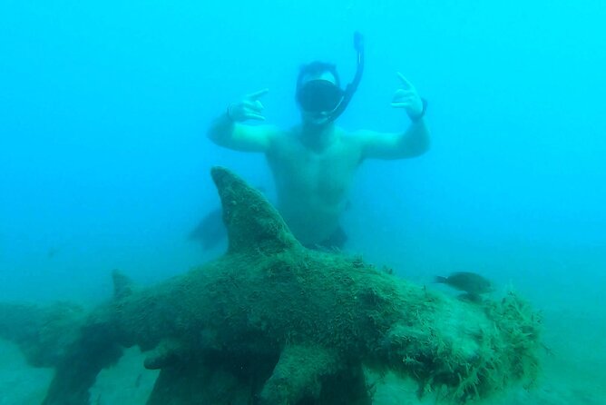 2-Hour Guided Snorkel Tour of Phil Foster Park, Blue Heron Bridge - Cancellation Policy