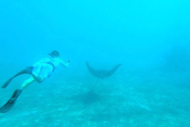 2-Hour Guided Snorkel Tour of Phil Foster Park, Blue Heron Bridge - Visitor Information