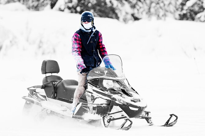 2-Hour Guided Snowmobile Tour in Fairbanks - Included in the Experience