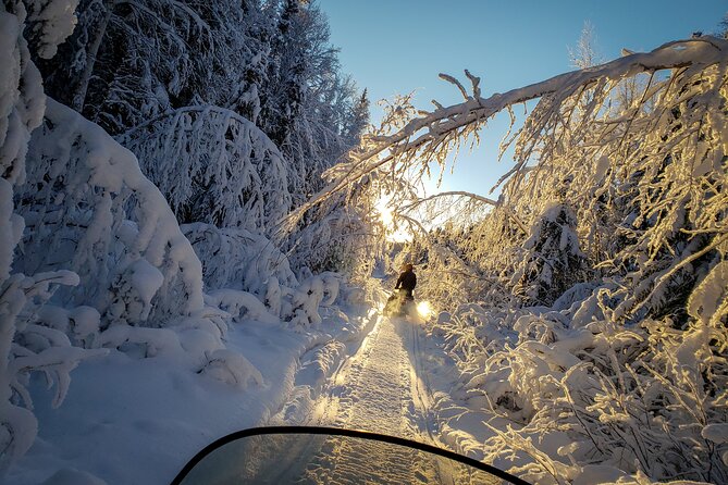 2-Hour Guided Snowmobile Tour in Fairbanks - Duration and Group Size