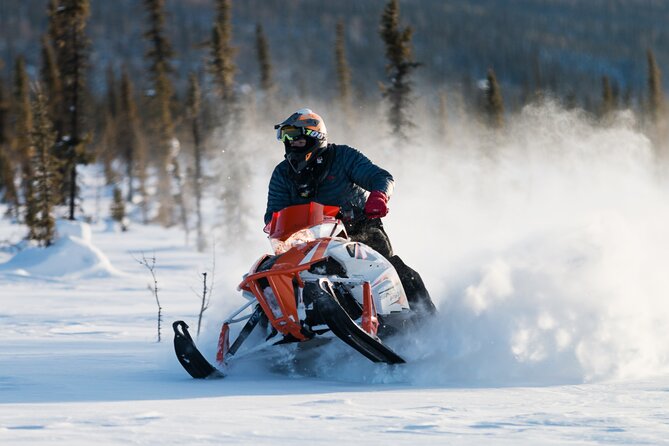 2-Hour Guided Snowmobile Tour in Fairbanks - Professional Guide Leadership