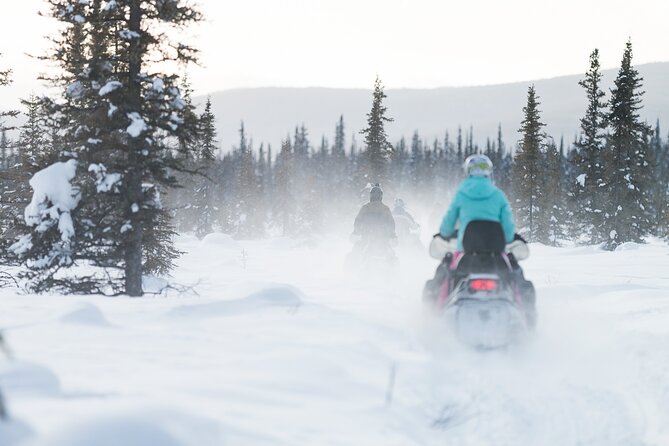 2-Hour Guided Snowmobile Tour in Fairbanks - Goldstream Valley Adventure