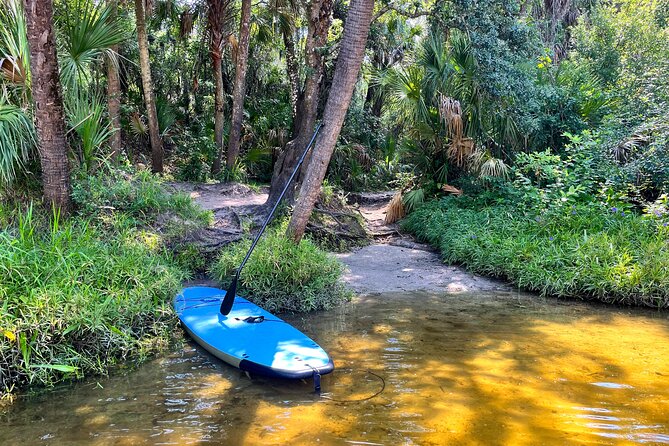 2 Hour Guided Stand up Paddle Board Tour Along Upper Manatee River - Meeting and Pickup Details