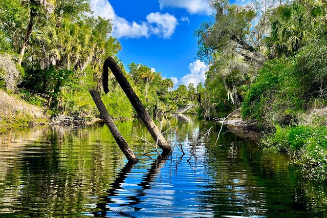 2 Hour Guided Stand up Paddle Board Tour Along Upper Manatee River - Tour Inclusions