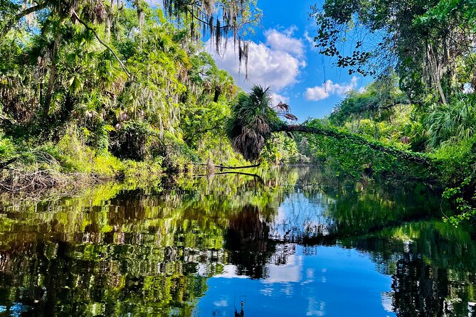 2 Hour Guided Stand up Paddle Board Tour Along Upper Manatee River - Reviewer Feedback