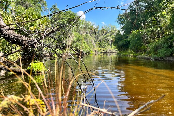 2 Hour Guided Stand up Paddle Board Tour Along Upper Manatee River - Safety Guidelines for Paddleboarding
