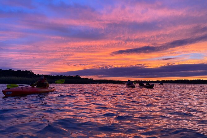 2-Hour Hilton Head Guided Kayak Nature Tour - Wildlife Sightings