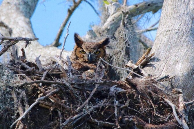 2 Hour Historical Wildlife Tour of the Chain of Lakes - Positive Guest Reviews and Feedback