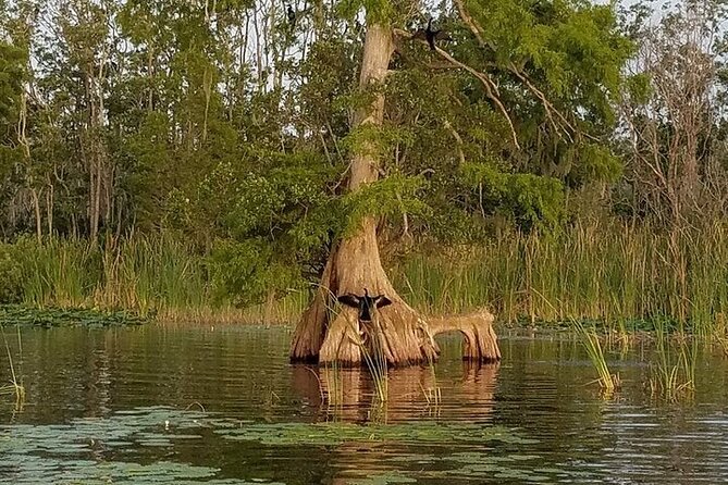 2 Hour Historical Wildlife Tour of the Chain of Lakes - Booking and Cancellation Policies