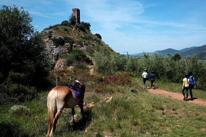 2 Hour Horseback Ride for Experts in Valgraziosa (Pisa) - Activity Overview