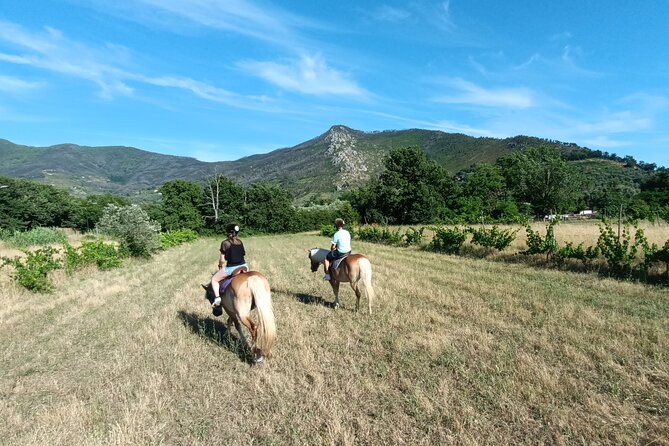 2 Hour Horseback Ride for Experts in Valgraziosa (Pisa) - Schedule and Availability