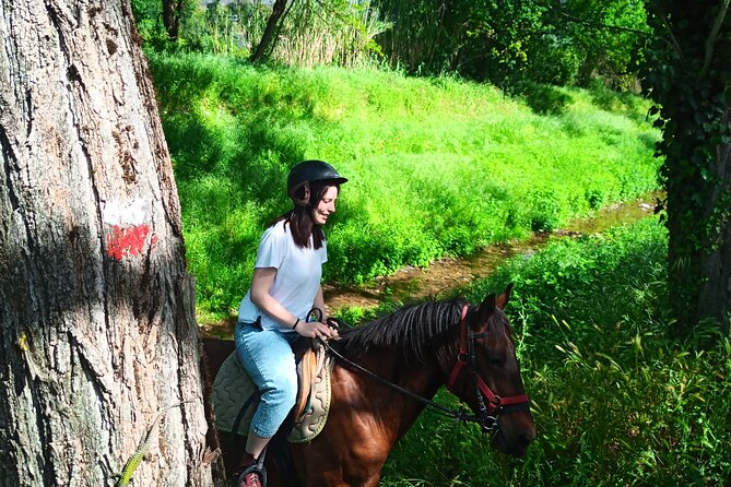 2 Hour Horseback Ride for Experts in Valgraziosa (Pisa) - Experience Highlights