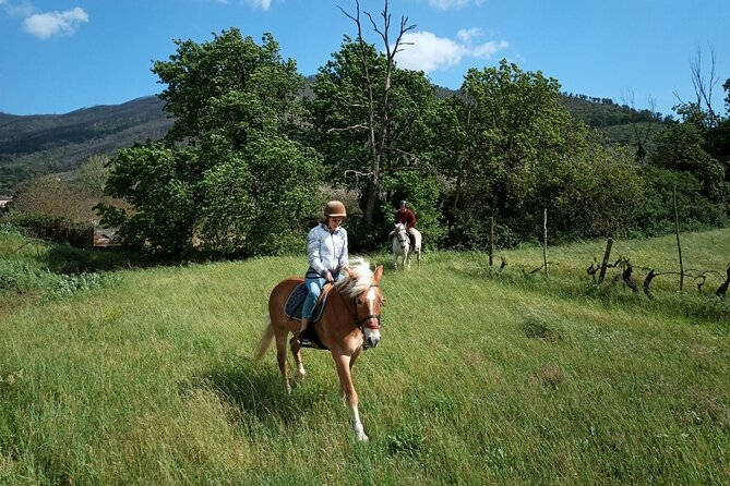 2 Hour Horseback Ride for Experts in Valgraziosa (Pisa) - Pricing and Booking