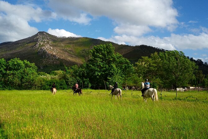 2 Hour Horseback Ride for Experts in Valgraziosa (Pisa) - Visitor Feedback
