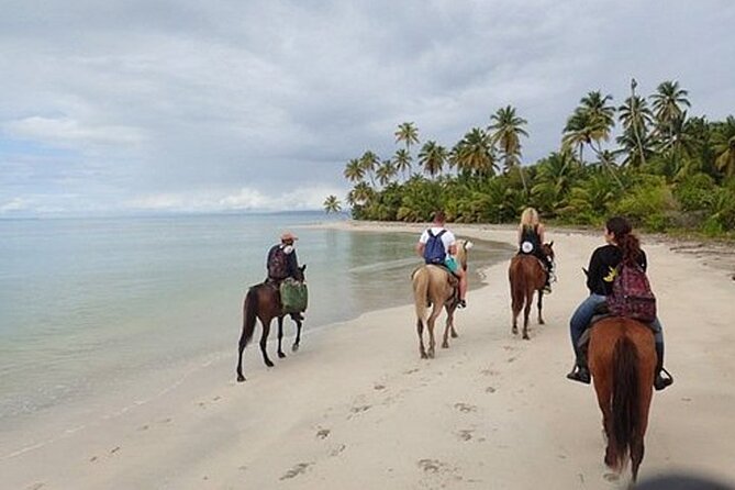 2 Hour Horseback Riding on the Beaches of Punta Cana - Booking Details