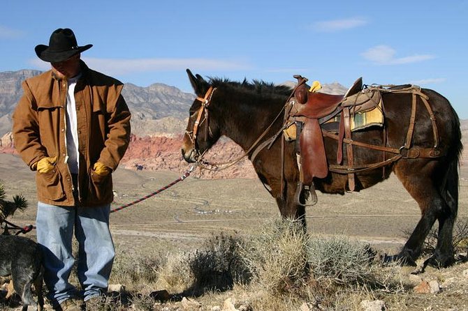 2-Hour Horseback Riding Through Red Rock Canyon - Impressive Customer Reviews