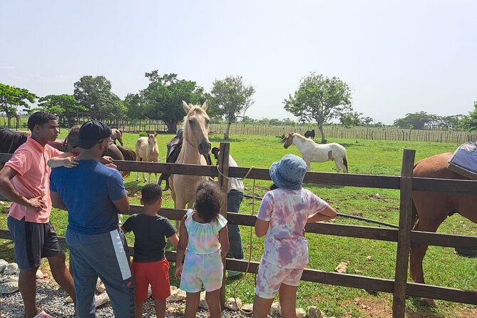 2-Hour Horseback Riding Tour at Sunset From Punta Cana - Customer Experiences