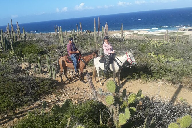 2-Hour Horseback Riding Tour to Little Natural Bridge in Aruba - Customer Review Highlights