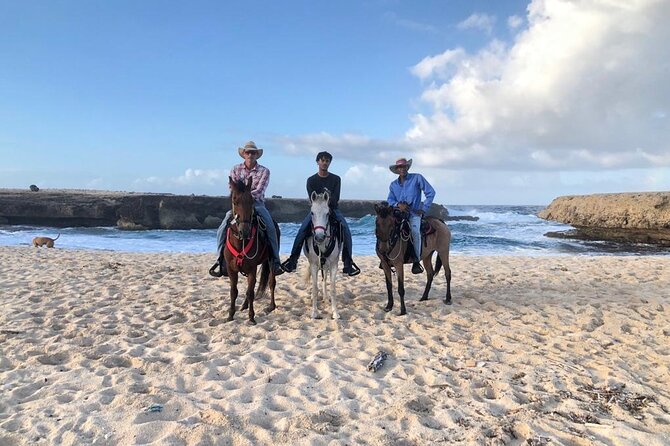 2-Hour Horseback Riding Tour to Little Natural Bridge in Aruba - Scenic Coastal Route