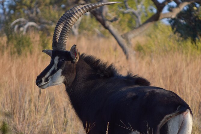 2-Hour Horseback Safari in Hartbeespoort - Additional Information