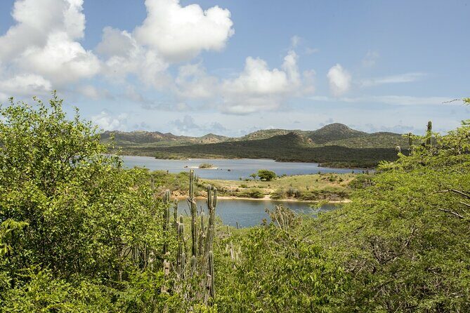 2 Hour Individual Island South Tour on Bonaire for 1 - 12 persons - Final Thoughts