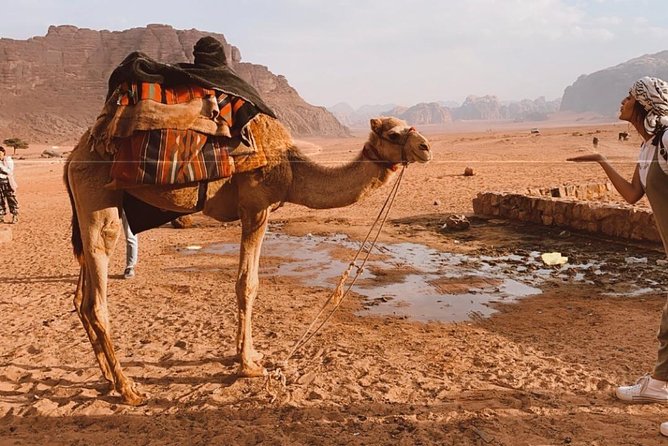 2 Hour Jeep Tour - Wadi Rum Desert & Canyon - Inclusions