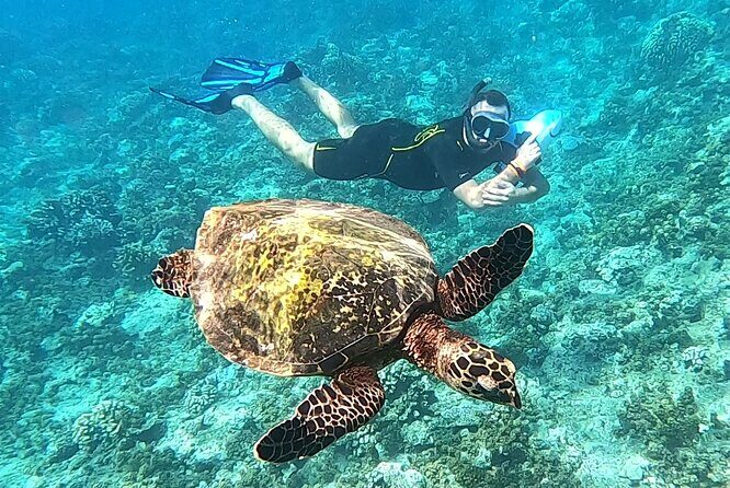 2-hour Jet Ski outing in Puna'auia - FAQ