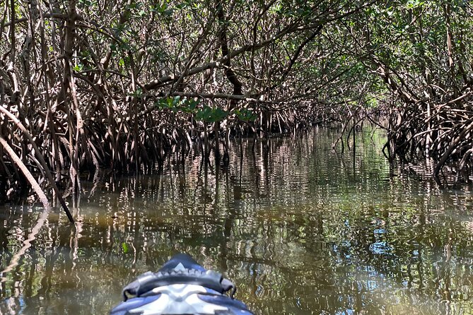 2- Hour Jungle Tour at Prehistoric Preserve Site in Fort Pierce - Tour Overview