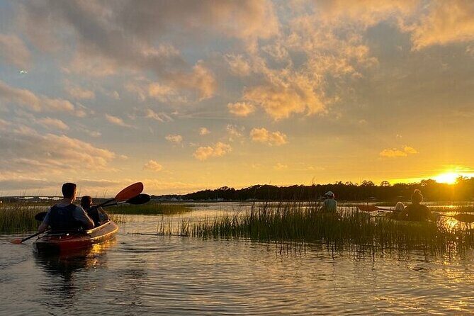 2 Hour Kayak Hilton Head Dolphin and Nature Tour - The Itinerary in Detail