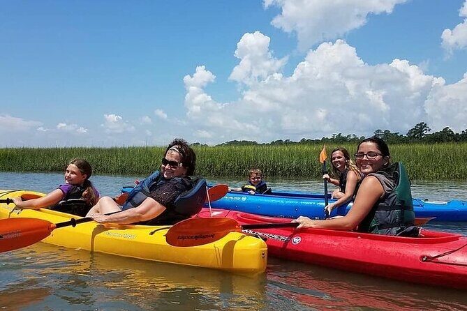2 Hour Kayak Hilton Head Dolphin and Nature Tour - Accessibility and Physical Demands