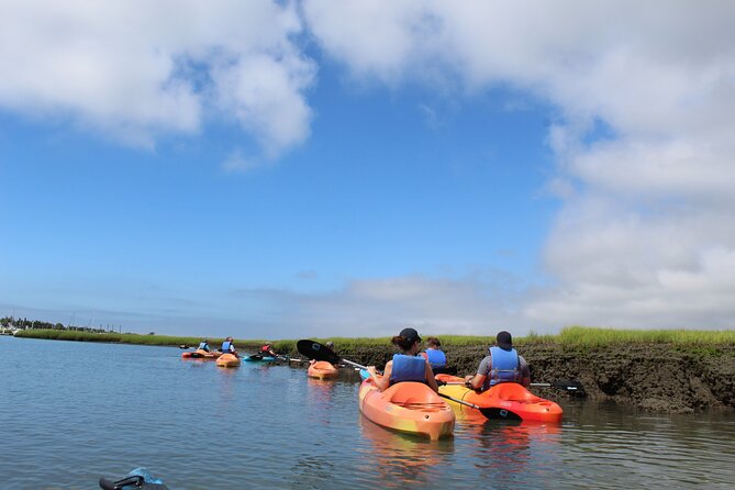 2-Hour Kayak Rental in Cape May per Person - Exploring Cape May Harbor and Cape Island Creek