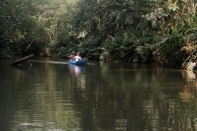 2-Hour Kayak Tour in Quepos - Meeting and Pickup