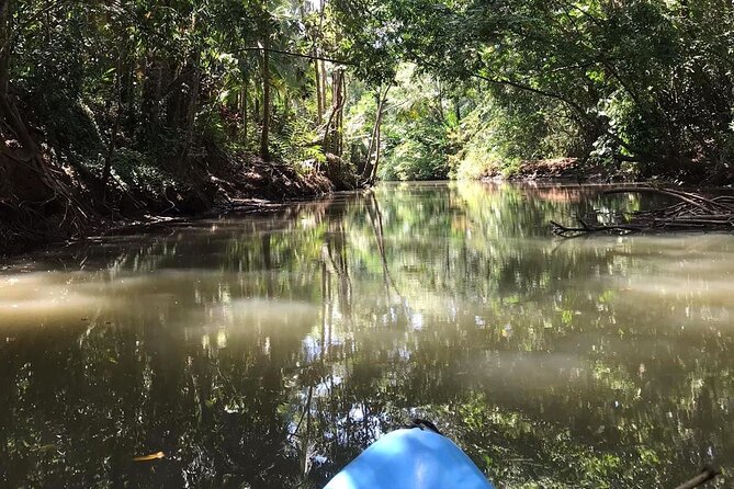 2-Hour Kayak Tour in Quepos - Additional Information