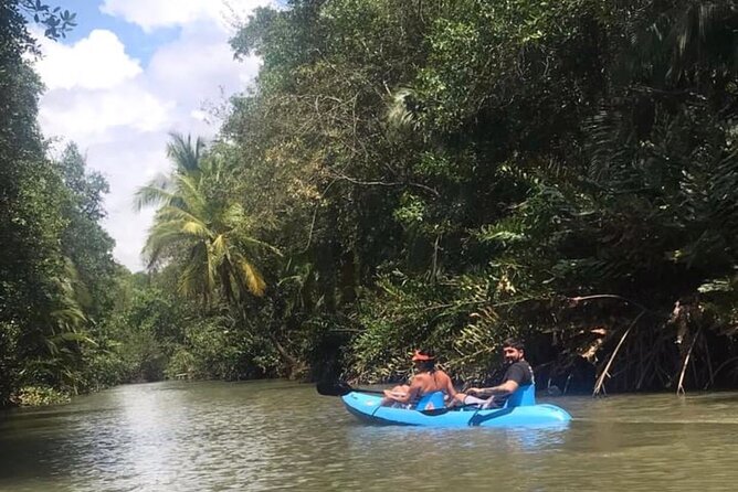 2-Hour Kayak Tour in Quepos - Reviews and Ratings
