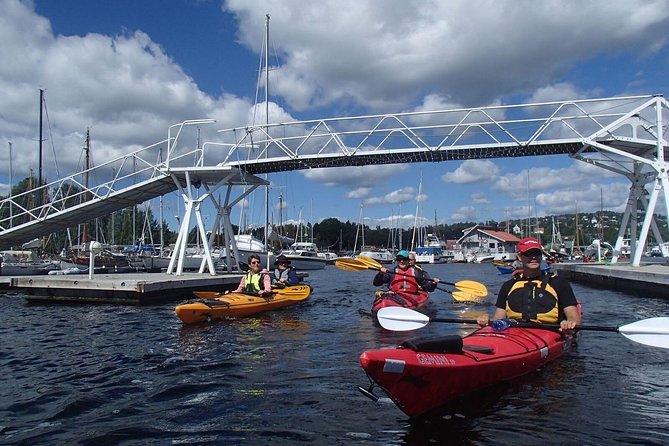 2- Hour Kayak Trip on the Oslo Fjord - Reviews and Feedback