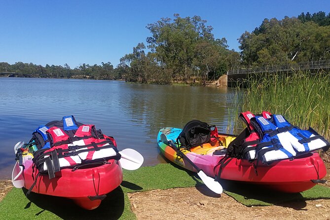 2-Hour Kayaking Experience in Barossa Valley - Kayak Options