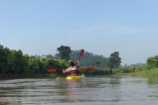2 Hour Kayaking/Sup Session in Baddegama (Nature and Birdlife) - Inclusions